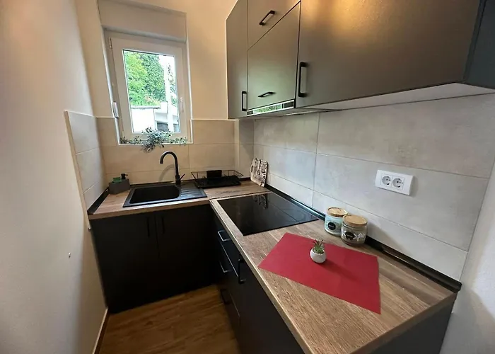 Pavlovic * סוקו בניה